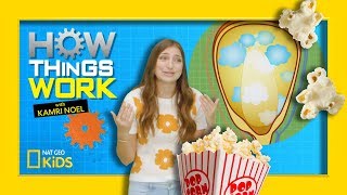 How Popcorn Works  How Things Work with Kamri Noel [upl. by Hey]