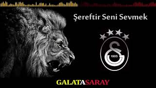 Şereftir Seni Sevmek  Galatasaray [upl. by Hnil]