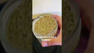 Perlite vs Vermiculite  Soil Amendments [upl. by Dorcea]