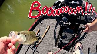 Searching for the elusive Wheeler Lake Crappie [upl. by Ion628]