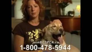 ASPCA Commercial Meme Edit [upl. by Eliam]