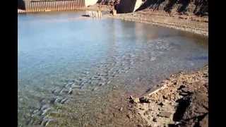 The biggest school of snapper ive seen in whyalla [upl. by Htelimay707]