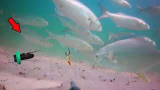 Attached an Underwater Camera to my Fishing Line How Fish React [upl. by Flight845]