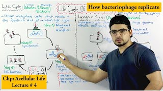 Bacteriophage [upl. by Culbertson351]