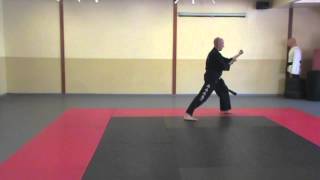 Choong Moo Tul  Sorce Martial Arts  TaekwonDo Form or pattern [upl. by Nosemyaj]