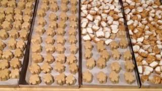 Gingerbread Toasted Marshmallows Freeze Dried Harvest Right Freeze Dryer Sweet Treats Easter Holiday [upl. by Haneeja]