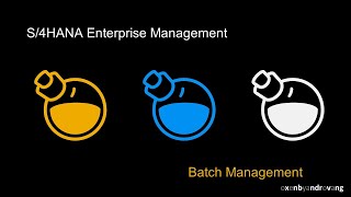 SAP S4HANA Batch Management [upl. by Nic]