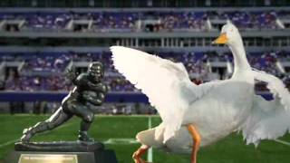 AFLAC COMMERCIAL QUATERBACK [upl. by Eiramesor]