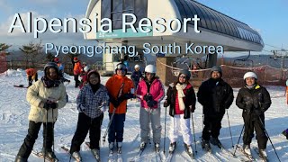 Alpensia ski resort review  Pyeongchang  South Korea [upl. by Nadnarb891]