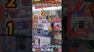 700口のロッカーガチャ‼️3000円で当たりを引き当てろ‼️5日目1000円ガチャ ガレージマーケット牧之原店 [upl. by Lenz]