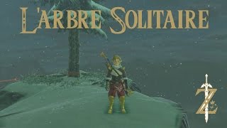 Astuce Zelda Breath of the Wild  Larbre solitaire [upl. by Inama959]