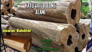 wujud Kayu Jati Bolong incaran para kolektor kayu Jati Perhutani BloraIndonesian Teak Wood working [upl. by Meeharb]