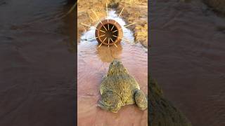 Survival Skills Simple and Useful with Clay Frog Trap survival bushcraft camping shrots [upl. by Marcia]