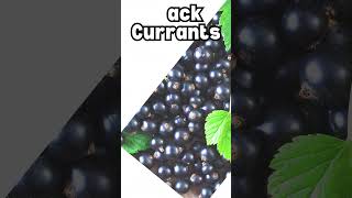 Exploring Superfoods The Power of Black Currants [upl. by Zirtaeb]