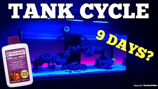 Tank cycle in 9 days Dr Tims day by day results [upl. by Bille]