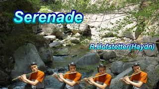 Serenade for flute quartet：RHofstetterHaydn セレナーデ R・ホフシュテッター（伝ハイドン）【フルート四重奏】 [upl. by Lauri130]