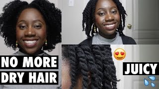 Moisturizing Technique for Extremely DRY Natural Hair  4C Natural Hair [upl. by Mallin]