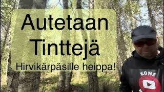 Jyrsitään pesäkoloja tiaisille akkuporakoneella osa 2 Lopussa ekstra [upl. by Rriocard447]