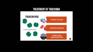 Treatment of trachoma trachomatis trachoma infection pharmacology [upl. by Iarised]