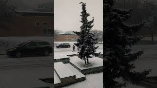 Its Getting Stronger denmark snow travel slagelse nature strongsnow scandinavianwinter [upl. by Civ]