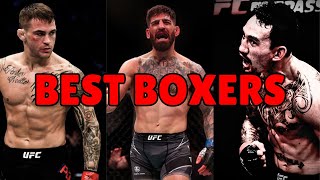 The BEST BOXERS in the UFC Every division [upl. by Lurleen]