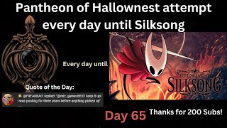 Pantheon of Hallownest attempt every day until Silksong Day 65 [upl. by Nolrac]