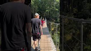 Suspension bridge at valley loop trail [upl. by O'Driscoll813]