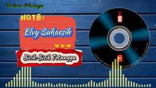 Elvy Sukaesih  BisikBisik Tetangga   Official Audio [upl. by Hcirdeirf799]