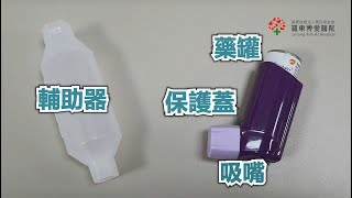 使肺泰優氟吸入劑使用衛教 Seretide Evohaler [upl. by Andert652]