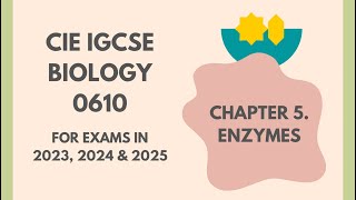 5 Enzymes Cambridge IGCSE Biology 0610 for exams in 2023 2024 and 2025 IGCSEStudyBuddy [upl. by Moretta164]