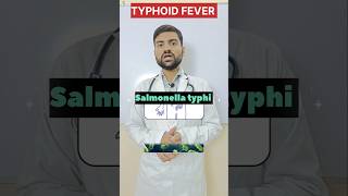 Typhoid Fever 🤒Treatment Typhoid Symptoms shorts viralvideo studentlife motivation neet [upl. by Rafe]