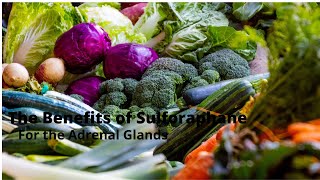 The Benefits of Sulforaphane For The Adrenal Glands [upl. by Nollid]