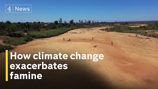 Madagascar on verge of first climateinduced famine’ [upl. by Atiuqin]