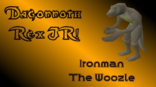 OSRS Ironman  Rex Pet Solo on Task [upl. by Vijar]