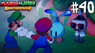 Mario amp Luigi Brothership  Monster Mania Level 2 Side Quest 40 [upl. by Trey]