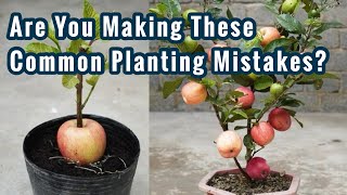 Are You Making These Common Planting Mistakes [upl. by Lubbi669]