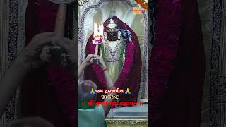 LIVE SHARE DWARKADHISH ARTI DARSHAN DWARKA shreedwarkadhishjagadmandirdwarkadwarka trendingshorts [upl. by Dwinnell599]