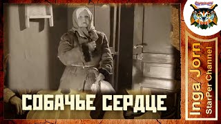 Пришла собачку говорящую посмотреть СОБАЧЬЕ СЕРДЦЕ М Булгакова [upl. by Sirovart]