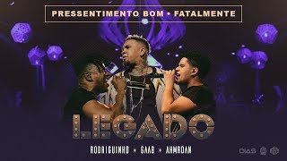 LEGADO Gaab Rodriguinho e AhMrDan  Pressentimento  Fatalmente part Livinho DVD AO VIVO [upl. by Attecnoc743]