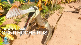 Ornithocheirus Taming Guide amp abilities in Ark Survival Ascended ll Prehistoric Beasts 2 ASA [upl. by Johanna24]