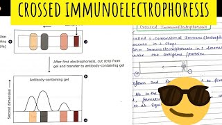 Crossed Immunoelectrophoresis 😎😎Immunotechniques [upl. by Tilden954]