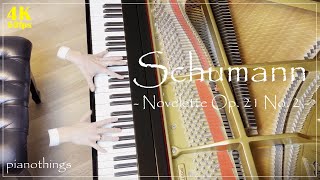 Schumann  Novelette Op 21 No 2 D major  piano music [upl. by Lubin]