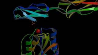 ICAMIntegrin inhibitors Rate My Science [upl. by Marline]