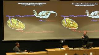 Isotopic aspects of dinosaur reproduction [upl. by Ennayehc]