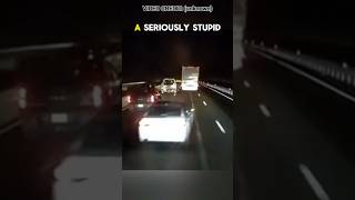 Instant Karma For Brake Checking a Semi Truck [upl. by Atiekram]