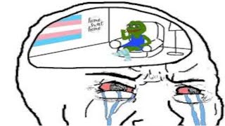 incel to transgender pipeline [upl. by Friederike248]