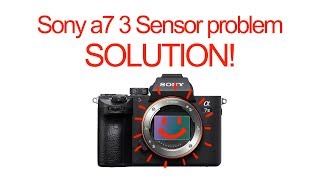 SONY a7 mkIII Sensor problem FIX [upl. by Christabelle]