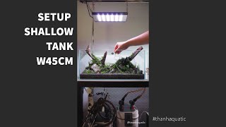 SETUP SHALLOW TANK W45  Cách setup hồ thủy sinh shallow 45cm phong cách NATURE [upl. by Lustig]