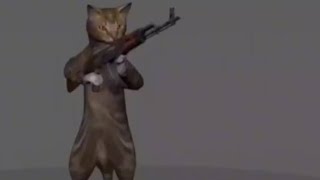 gato con ak 47 [upl. by Feodor870]