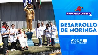 Nicaragua inaugura Centro de Desarrollo de Moringa Comandante Fidel [upl. by Rhody]